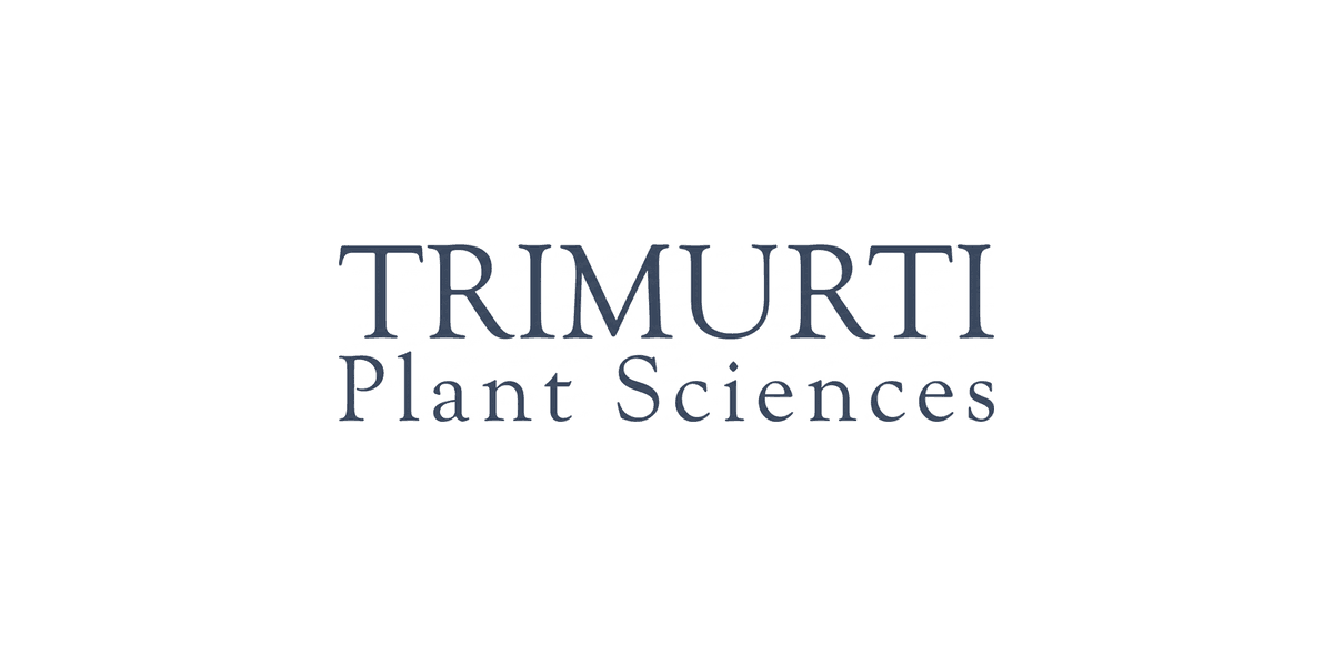 Trimurthi
